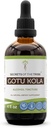 Secretele Tribului Gotu Kola Tincture Alcool lichid Extract, Gotu Kola (Centella Asiatica) Herb uscat (4 FL OZ)
