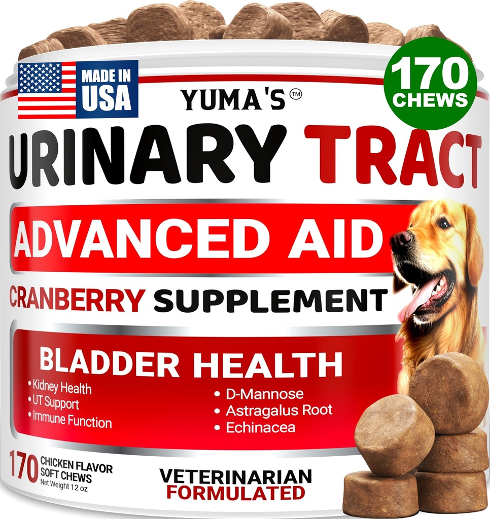 Dog UTI Tratamentul - 170 Tratamente - Supliment de afine pentru câini - Controlul vezicii urinare - Tratamentul infectiei tractului urinar - Medicina UTI Multivitamine - Vitamine si Suplimente - Made in USA
