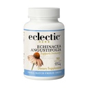 Instituate brute proaspete congelate non-GMO echinacea Angust