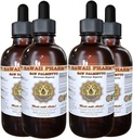 Saw Palmetto lichid extract, Organic Saw Palmetto (Serenaa Repens) Tincture, Herbal Supplement, Hawaii Pharm, Made in USA, 4x4 fl.oz
