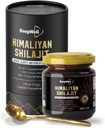 Generic BeepWell Shilajit Resin 
