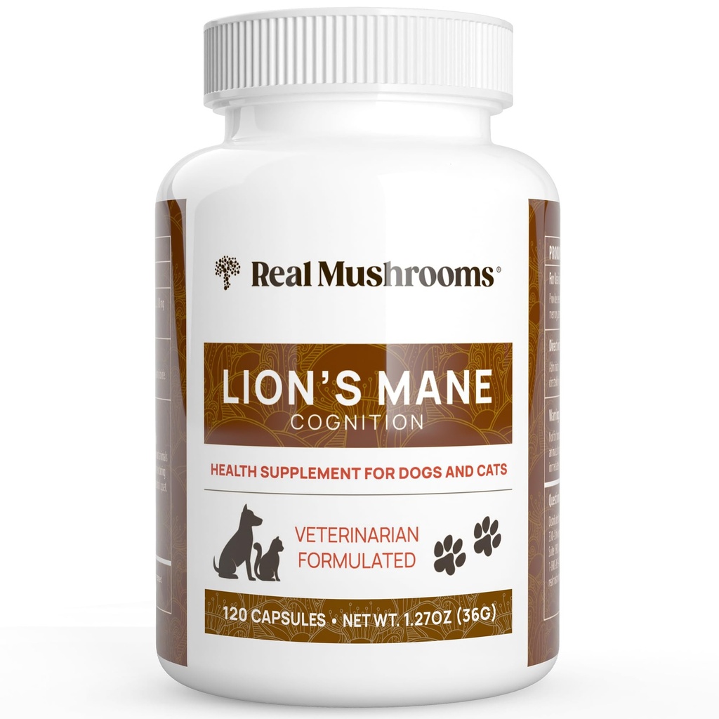 Lions Coamă de cal Pet Mushroom Supliment 
