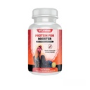 Blend de proteine pentru pui Rooster - Proteina a Base de Suero de Leche y Albumina de huevo para Gallos 100 comprimate