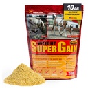 Super Greutate câştig 10 lb, Equine Vitamina Minerale, Probiotic & Greutate câştiga supliment
