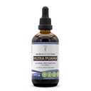 Secretele Tribului Muira Puama Tincture Extract lichid fără alcool, Muira Puama (Pychopetalum Olacoides) Bark uscat (4 FL OZ)