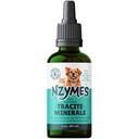 Nzymes® Tracite Minerale pentru animale de companie - Acid fuzenic, acid humic şi urme de fier picături minerale şi aminoacizi pentru energie ATP, şi Digestive Health - Made in the USA