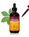Herb Pharm Eleuthero (Siberian Ginseng) Root Liquid extract for Energy and Stamina, Cane Alcool, 4 Ounce