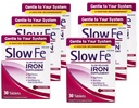 Slow Fe Slow Release Fier, comprimate 30 ea (Pachet de 6)