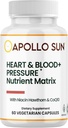 APOLLO SUN Inimă și sânge + supliment de presiune Matrix nutrient cu extract de Hawthorn, Niacin, și COQ10, 60 capsule vegetariene