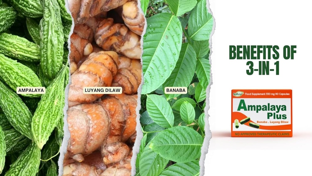 Ampalaya Plus 550 mg 90 capsule - ambalaj de 1 - cu Banaba, Turmeric Ginger şi Bitter Melon de Ampalaya Plus - Halal Herbal Suplements