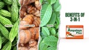 Ampalaya Plus 550 mg 90 capsule - ambalaj de 1 - cu Banaba, Turmeric Ginger şi Bitter Melon de Ampalaya Plus - Halal Herbal Suplements