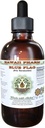 Steag albastru Extract lichid fără alcool, Steag albastru organic (Iris versicolor) Root uscat Glicerite Hawaii Pharm naturale Herbal Supliment 2 oz