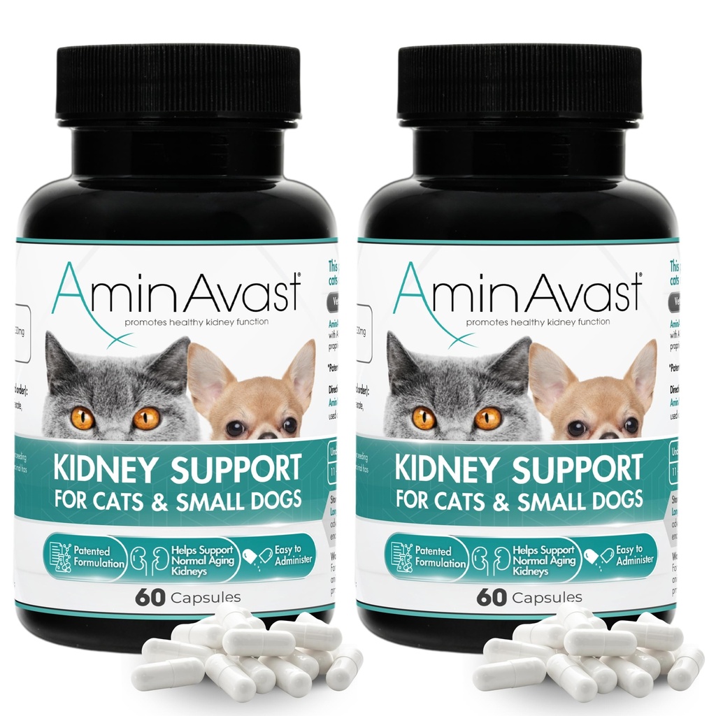 AminAvast Rinichi de sprijin Supliment pentru pisici și câini mici, 300mg 2-Pack - Promovează funcția rinichiului natural - SIDA în sănătate și vitalitatea de imbatranire rinichi - ușor administrate - 60 capsule de stropire