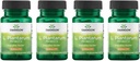 Swanson L. Plantarum - Supliment digestiv Promovarea echilibrului gastro-intestinal & Regularitatea Bowel - Formula naturală pentru a ajuta la reducerea balonare - (30 Capsule vegetale) 4 ambalaj