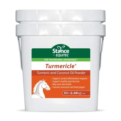 Natural Turmeric pulbere pentru cai cu ulei de nucă de cocos praf - Turmericle anti-Inflamatory Horse Supliment pentru sănătos Hip & Joint Function - normal Skin Health
