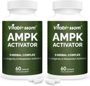 AMPK Activator Supliment, 5 în 1 Jiaogulan Gynostemma AMPK Metabolic Activator 120 Capsule vegetariene(120 Count (Pachet de 2))