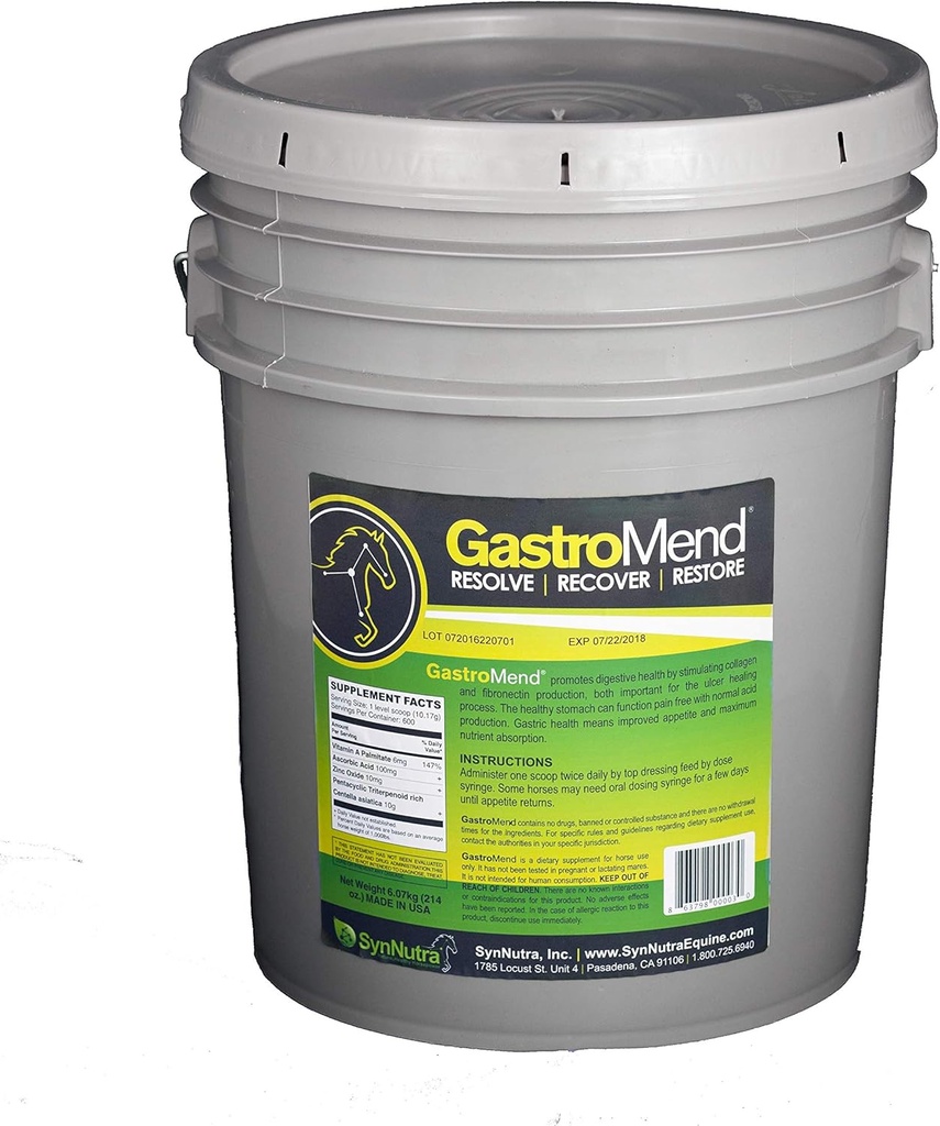SynNutra GastroMend (GastroMend - 600 doză Bucket) 100% Natural