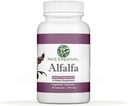 Herb Emporium Alfalfa (Medicago Sativa L, Alpalpa) Capsule 90 Capsule vegetale (340 mg) Supliment vegetal pentru digestia sănătoasă (Pachetul de 1)