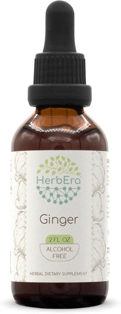 HerbEra Ginger B60 Extract de plante fără alcool Tinctură, ghimbir super-concentrat (Zingiber officinale) 2 fl oz