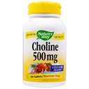 Natura'S Way Choline 500mg 100 comprimate