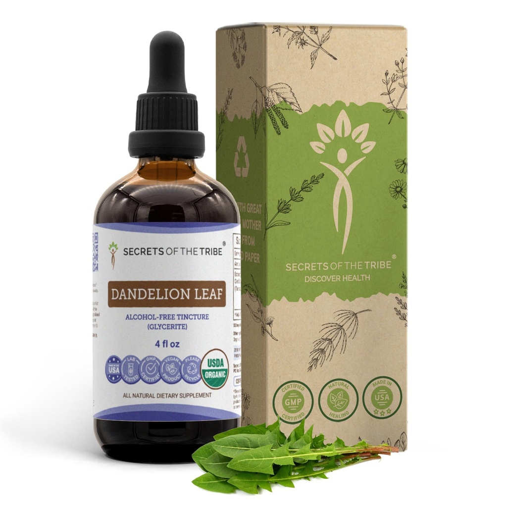 Secretele tribului Dandelion Leaf USDA Organic Tincture Extract lichid fără alcool, Dandelion (Taraxacum officinale) Frunză uscată (4 FL OZ)
