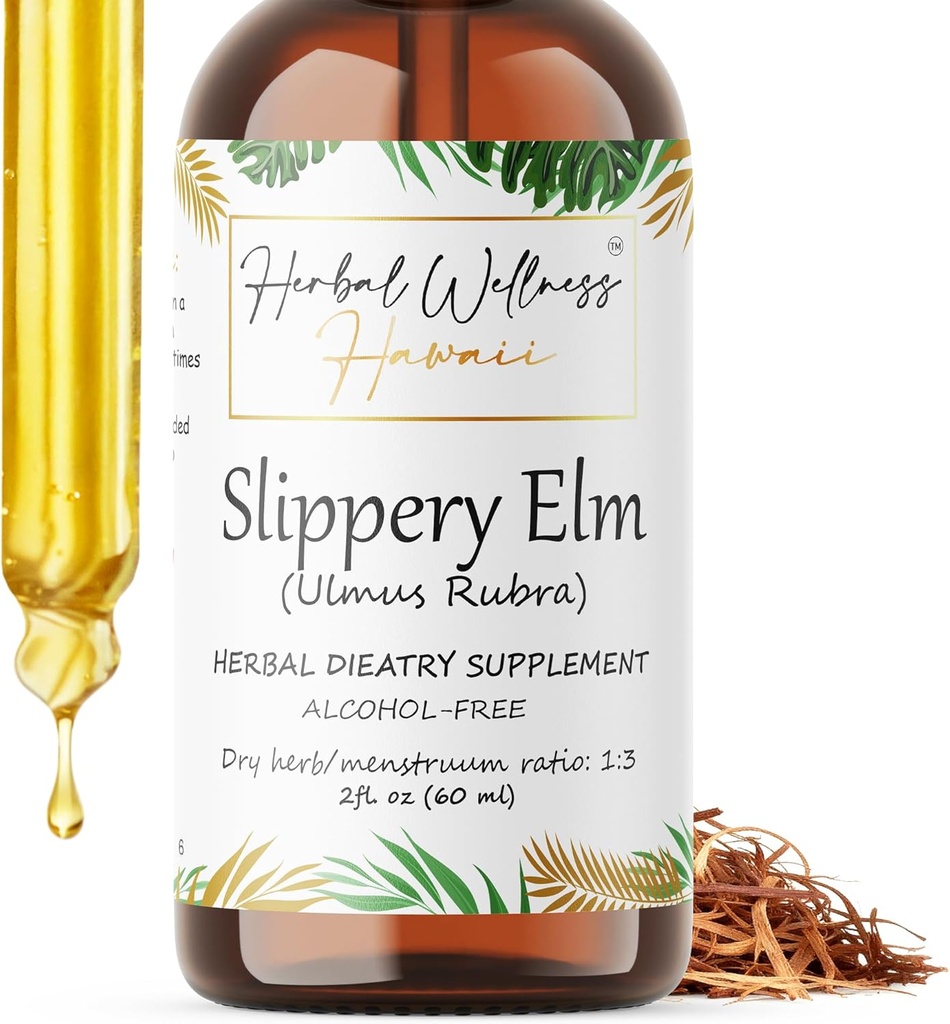 Elm alunecos (Ulmus Rubra) Extract lichid fără alcool din barcă uscată (2 oz)