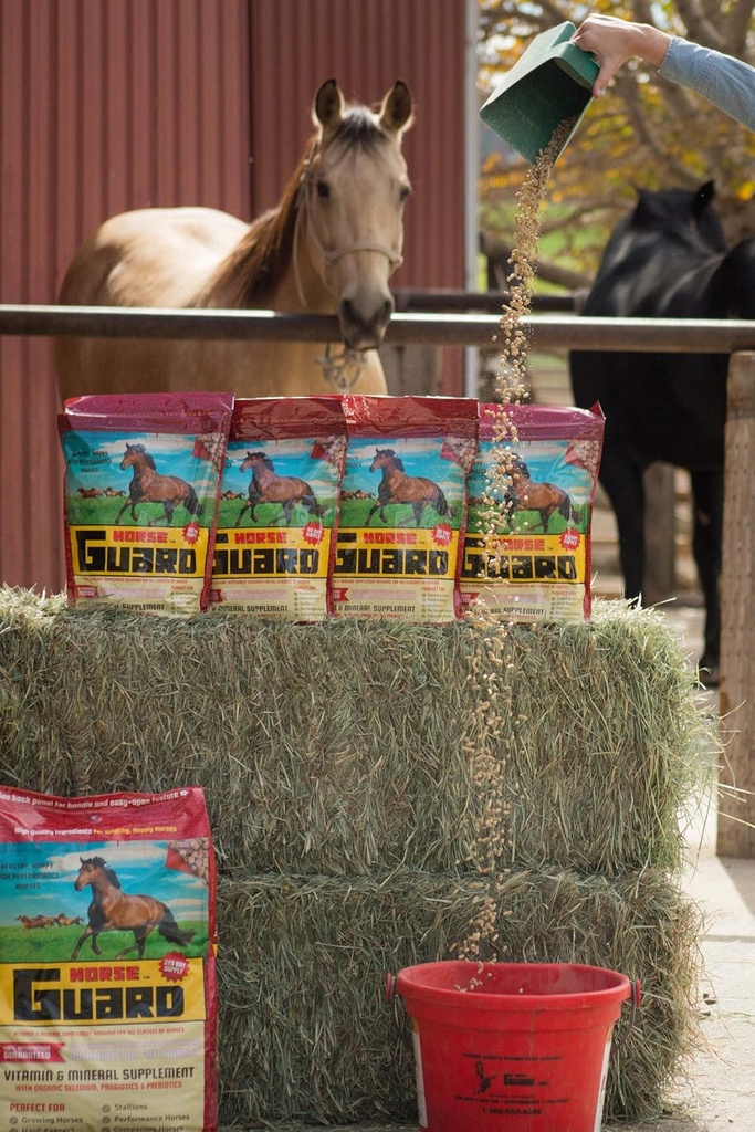 Garda de cai 4,6 lb, Suplimentul mineral al vitaminei equine cu Seleniu organic şi vitamina E