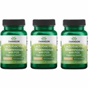 Swanson Lactobacillus Rhamnosus with FOS - Probiotic Supplement Supplement Supports Digestive Health - 5 Miliarde CFU - Promovează GI Tract Health în timpul călătoriei - (60 Veggie Caps) 3 Pack