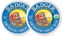 Badger - Aromatizat Chest Rub, Eucalipt & Mint, Certified Organic, Soothing Vapor Rub with Eucalyptus Essential Oils, Baby Chest Rub, Vapor Rub Ointment, 0,75 oz - 2-Pack