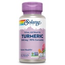 Suplimentul Turmeric SOLARAY 300 mg - extract de rădăcină turmerică cu 95% Curcumin - Supliment comun de sprijin pentru sănătate și confort comun - non-GMO, Vegan, Gluten gratuit, 60 zile de garanție, 60 de serviri