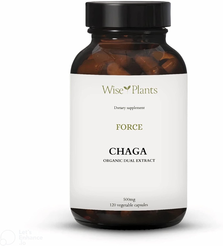 Chaga Mushroom Supplement. Extract dual, Corp de fructe pure, 30% Polizaharide, 500 mg, 120 legume (120 de zile de aprovizionare). Poate sprijini digestiv sanatos, functie imunitara si sa promoveze sanatatea inimii.