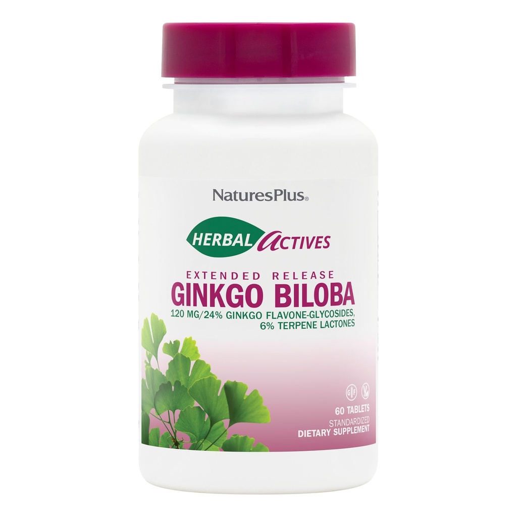 Naturas Plus Herbal Active Ginkgo Biloba, Extended release - 120 mg, 60 Vegan Tablets - Vegetarian, Gluten-Free - 60 Servings