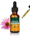 Herb Pharm Certified Organic Echinacea Root Liquid extract for Immune System Support, Organic Cane Alcoolic, 1 Ounce (DECH01)