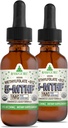RawGuru Methylfolat 1mg+ Vitamina B12 - Organic Vegan metilat B12 cu Trace Minerale - Nano-processed & Enhanced Liquid Formula - 300 Servings of Vegan Drops per 30 ml, Pack of 2