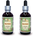 Selfheal (Prunella Vulgaris) Glycerite, Extract lichid de plante organice uscate de alcool-FREE (Numele brand: HerbalTerra, Proudly made in USA) 2x2 fl.oz (2x60 ml)