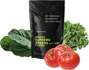 Ecologic Superfood Greens Powder cu MSM, pentru Gut Health, Digestion, Immune Support, Energy, and More (Sugar Free, Non-GMO, Keto, Vegan), 60 Servings, 30 Day Support