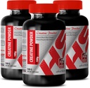 Body Builder pentru bărbați - CREATINE Powder 100G - Creatine Bulk - 3 flacon (Powder)