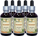 Hrișcă (Polygonum Fagopyrum) Tincture, Extract lichid de hule uscate (Brand Name: HerbalTerra, Proudly Made in USA) 5x2 fl.oz (5x60 ml)