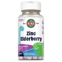 KAL Kids Zinc Elderberry Dinozaurs, Immune Supplement* for Children w/ Sambucus Elderberry, Fast Dissolving Mixed Berry Activ Melts, Fun, Tasty Dino Shapes, Vegan, 90 Servings, 90 Micro Tablets