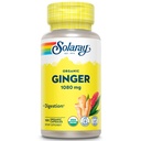 SOLARAY Organic Ginger 1080 mg - Suplimente organice de ghimbir - Relieves Greață și Vărsături asociate cu moțiune boală, susține sănătatea comună - Vegan, non Drowsy, 60-Day Guarantee, 50 Serviri