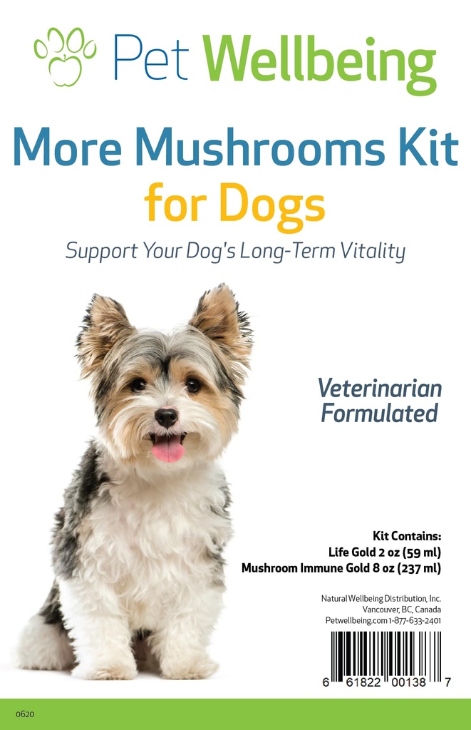 Pet Wellbeing Kit de ciuperci pentru câini - Suport sistem imunitar și protecție antioxidantă - Vet-Formulat cu Turcia Coada, Reishi, Maitake, Astragalus