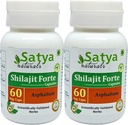 Silajit Forte Capsules 500 mg. 60 Veg. Capsule 