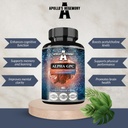 HEGEMONY Alpha-GPC APOLLO 600 mg per doză zilnică - 90 capsule de colină Vegană - 99% Supliment alimentar alfoscerat colină - Choline lipide - capsule de memorie și concentrare