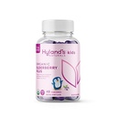 Hyland's Kids Organic Elderberry Plus Gummies, Organic Black Elderberry cu ZINC şi vitamina C, Immune Support pentru copii, 48 Vegan Gummies