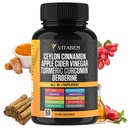 Ceylon Cinnamon Capsule 3000mg Turmeric 3000mg Apple Cider Vinegar 3000 mg Ginseng 2000mg Aloe Vera 2000mg Berberine Supliment 1200mg + Banaba 