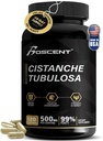 Premium Cistanche Tubulosa Extract 500mg (120 capsule) - 50% Echinacodide,10% Acteoside - Natural Nootrop pentru Rezistenta, Imunitate si Memorie - Fara Fillers, Echilibrul hormonal - Booster de putere pentru barbati