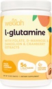 Wellah L-Glutamine Peach Mango (50 serviri) - 5g L-glutamină per servire, îndulcit cu Stevia