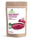 Sfeclă organică Root Powder 