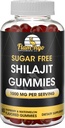 Sugar Free Shilajit Gummies (1000 mg Servire)- Natural Himalaya Organic Acid Shilajit pentru bărbați și femei -60 Gummy Chews