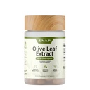 Snap Suplimente Olive Leaf Extract capsule - Super Putere 40% Oleuropeina pentru sânge suport flux, Îmbunătățirea Digestion, Antioxidant Boost Supliment, Îmbunătăți funcția creierului (60 capsule)